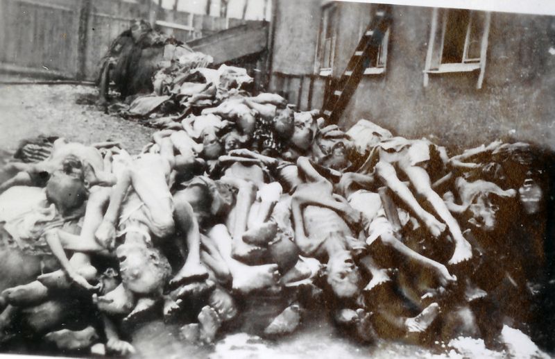 Buchenwald 28